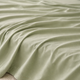 Light Olive